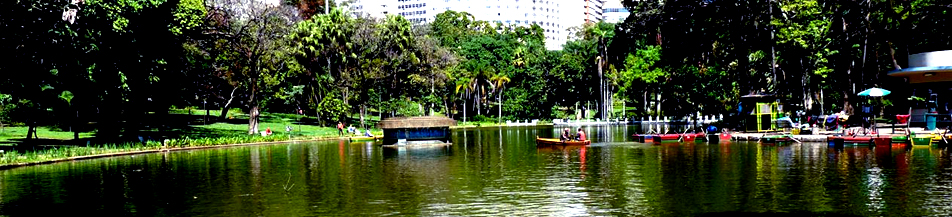 Parque na cidade de BH