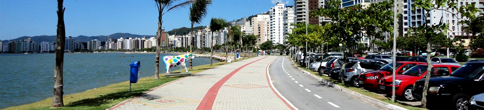 Avenida com uma bela vista