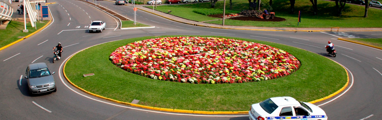 Rotatória com canteiro florido.