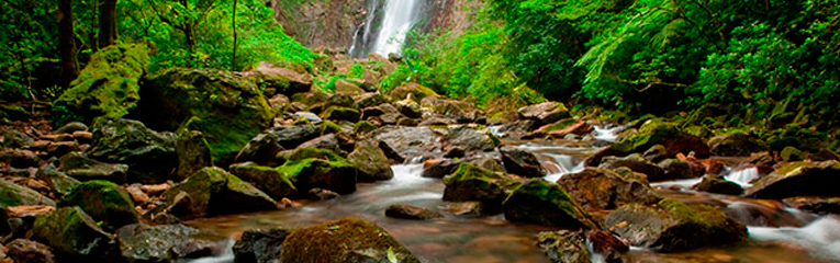 Guaraqueçaba Paraná