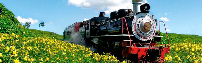 Maria Fumaça (Trem do Vinho) em Bento Gonçalves.
