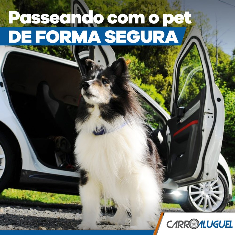 Imagem de um cachorro parado ao lado de um carro com o título: passeando com o pet de forma segura