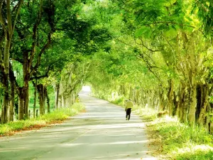 Homem andando em estrada de Rio das Flores
