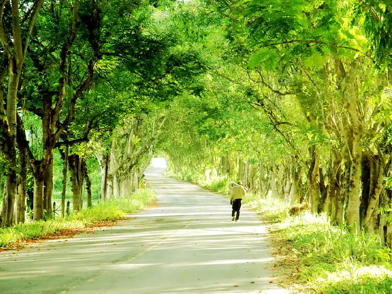 Homem andando em estrada de Rio das Flores