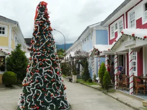Árvore de Natal em alameda de Penedo