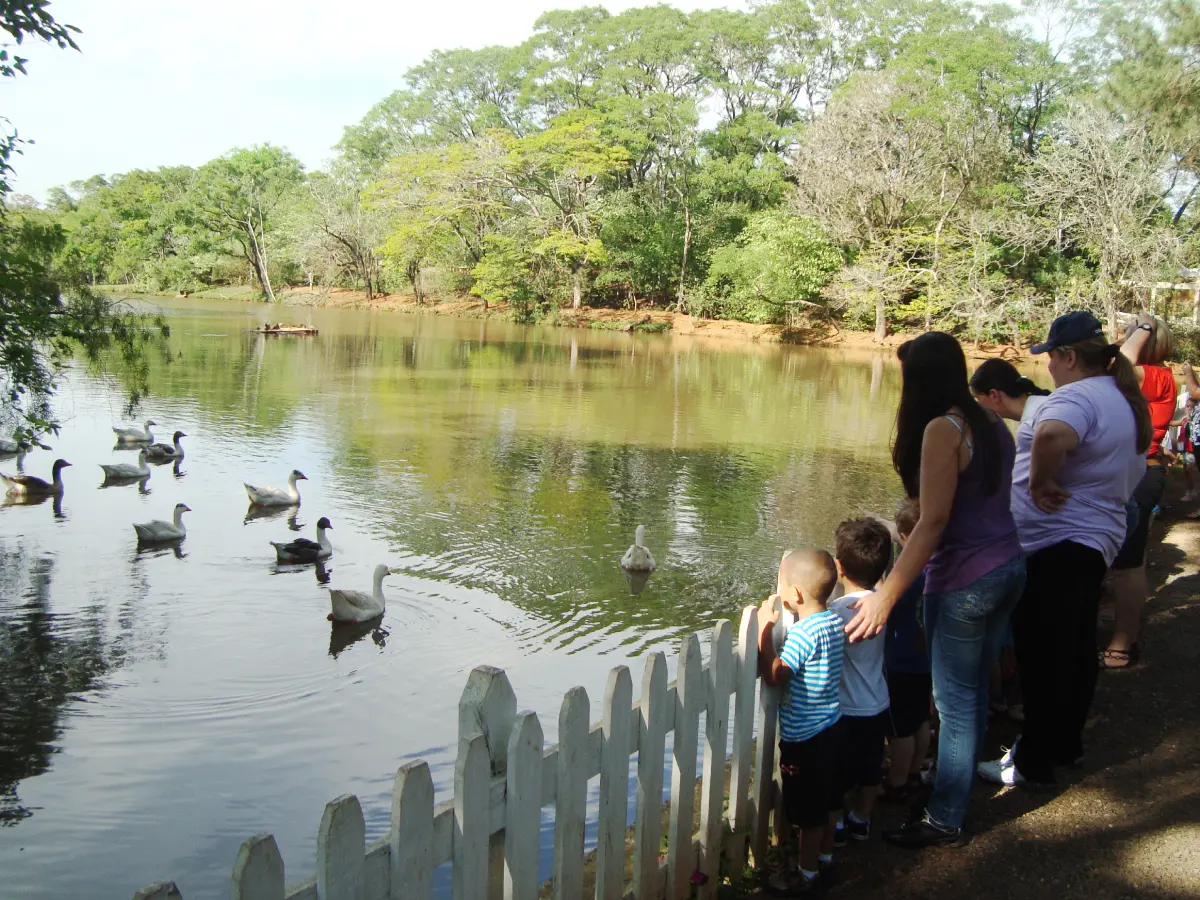 Patos sendo observados por turistas no Parque Ecológico Eugênio Walter em Boituva