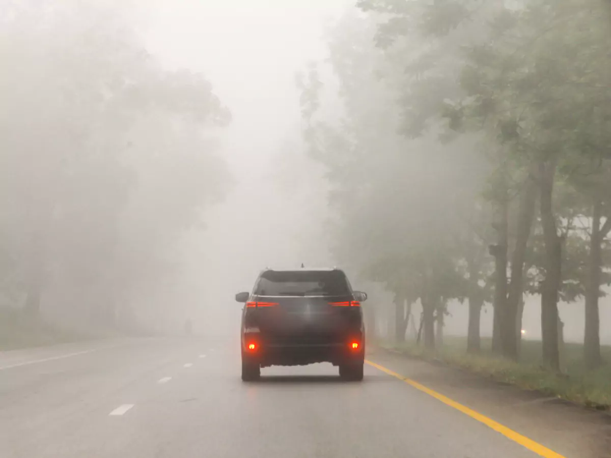 Carro trafega por estrada tranquila de mão única, a vegetação coberta por neblina.