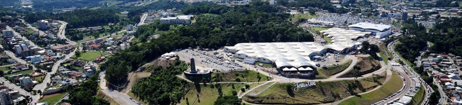 Festa da Uva em Caxias do Sul